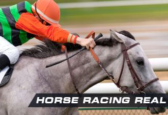 Horse racing real